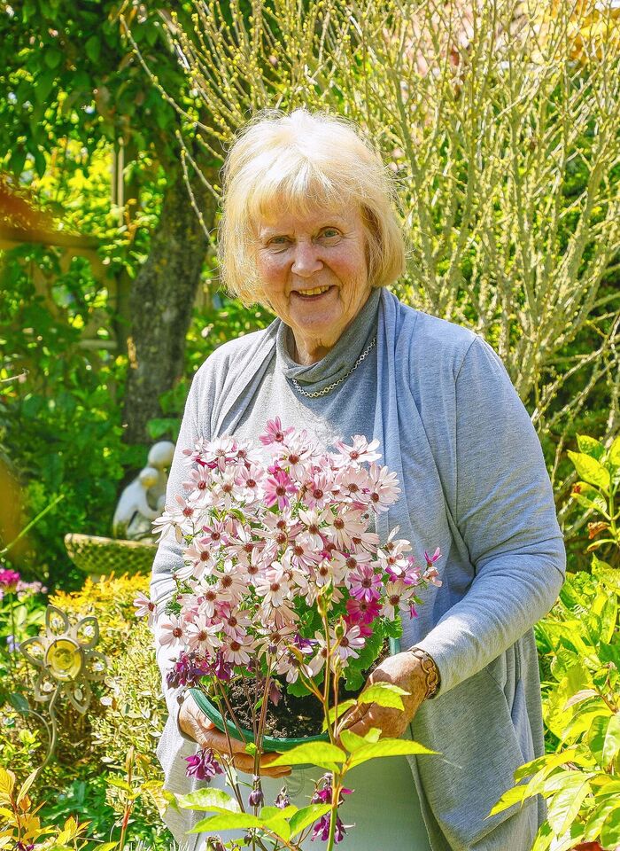 DAPHNE LEDWARD (OS 62): 
Garden designer & broadcaster