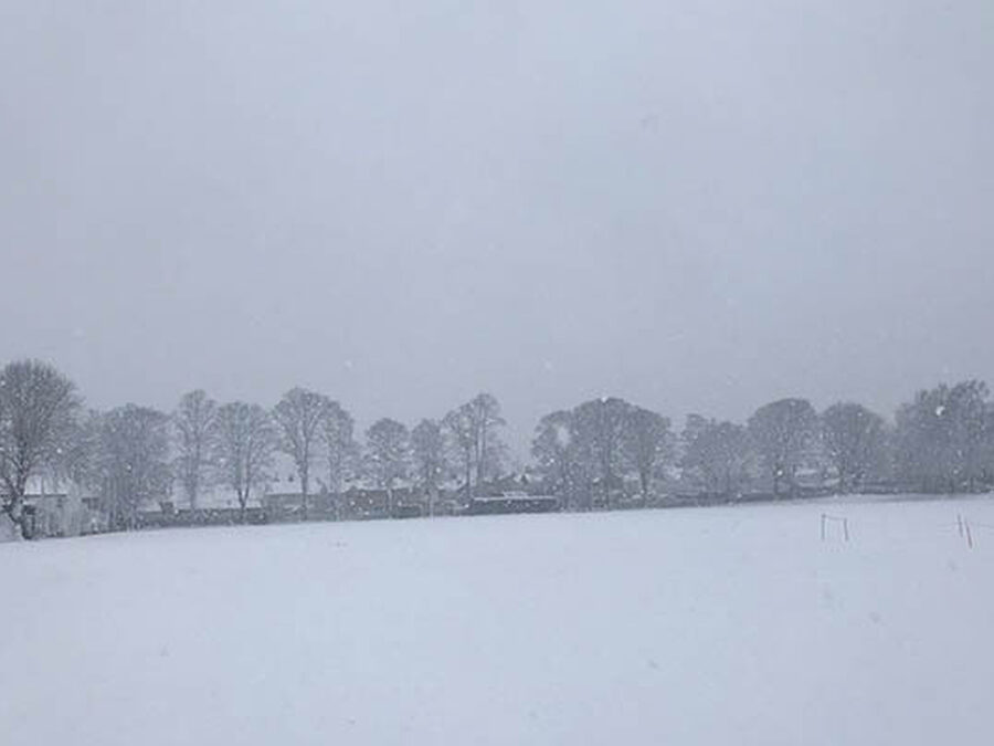 Stamfordians in the Snow