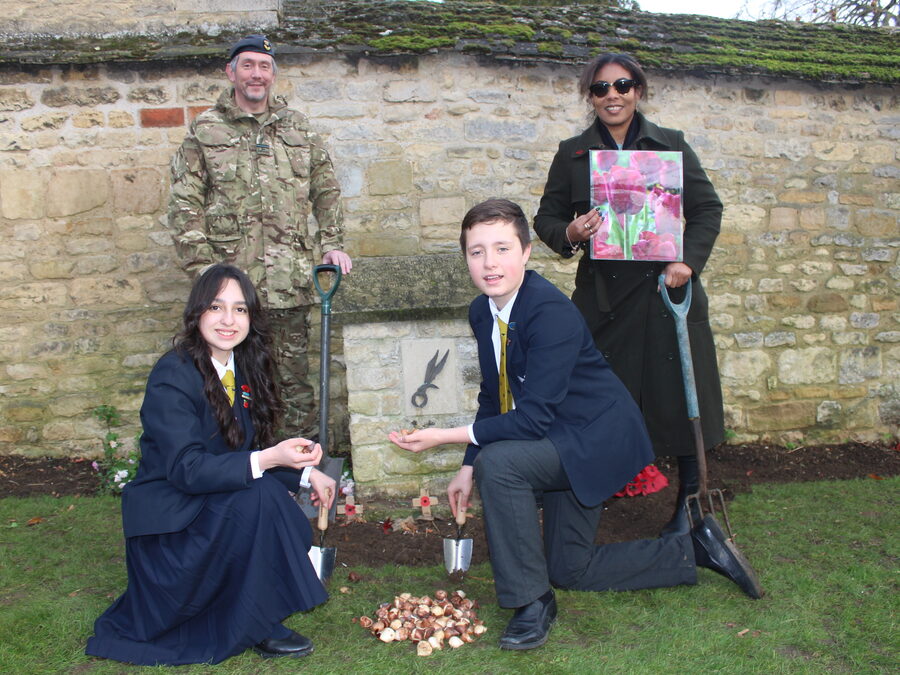 Tulips for Airborne Forces