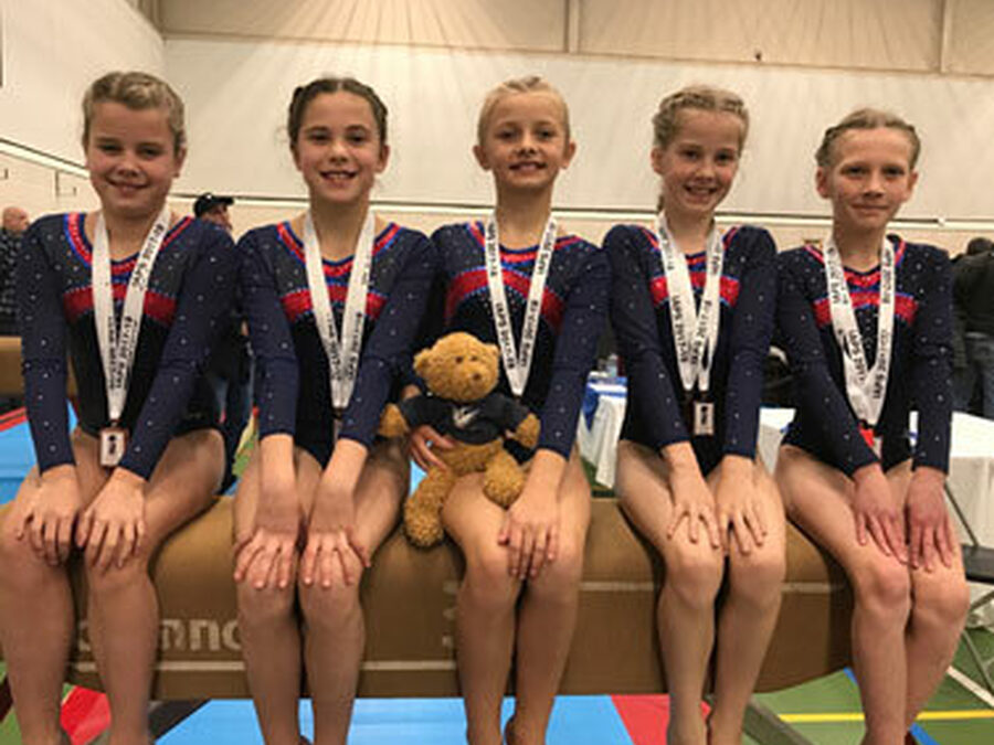 Achievements in Gymnastics at Stamford Junior School