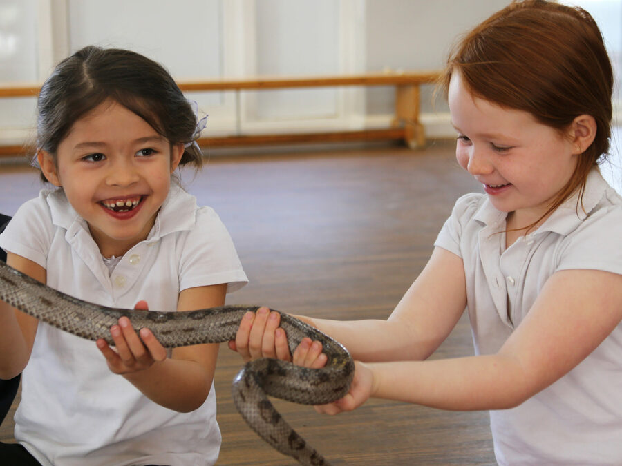 SJS Take a Walk on the Wild Side