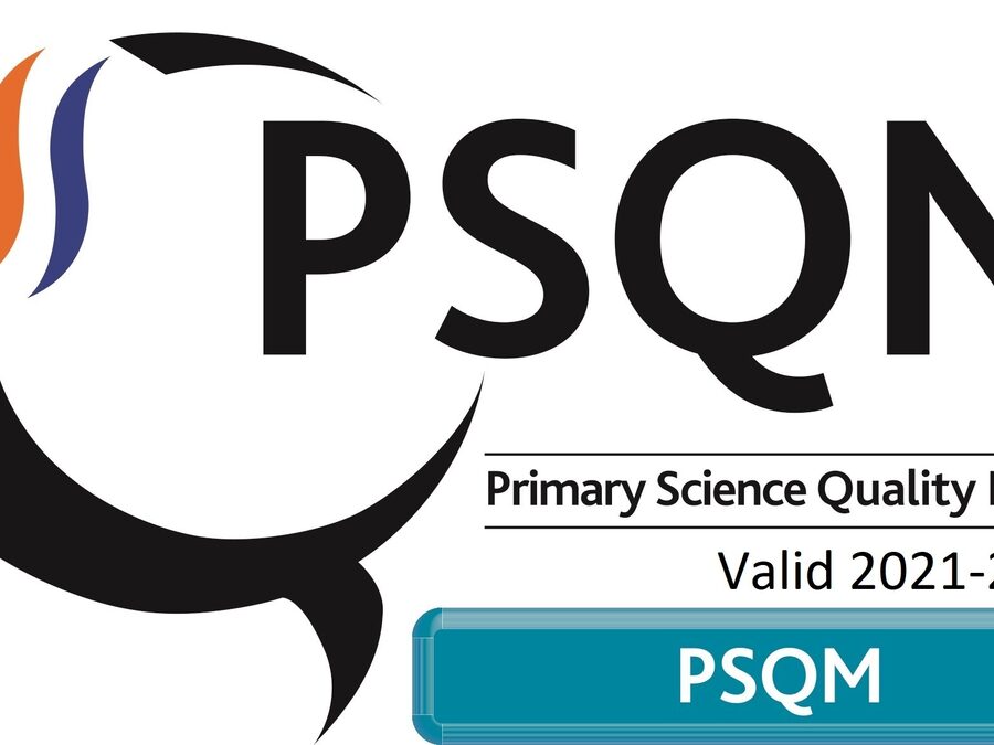 Stamford Junior School Awarded Primary Science Quality Mark