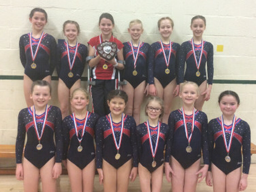 SES Gymnasts Progress to National Finals