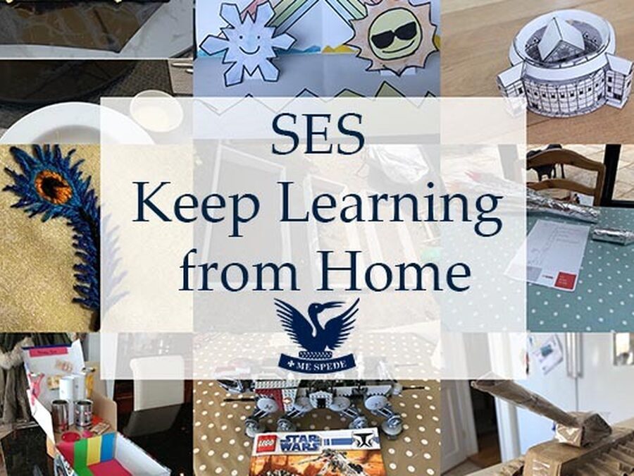 SES at Home