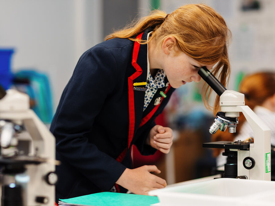 Stamford Junior School awarded prestigious PSQM Science Award