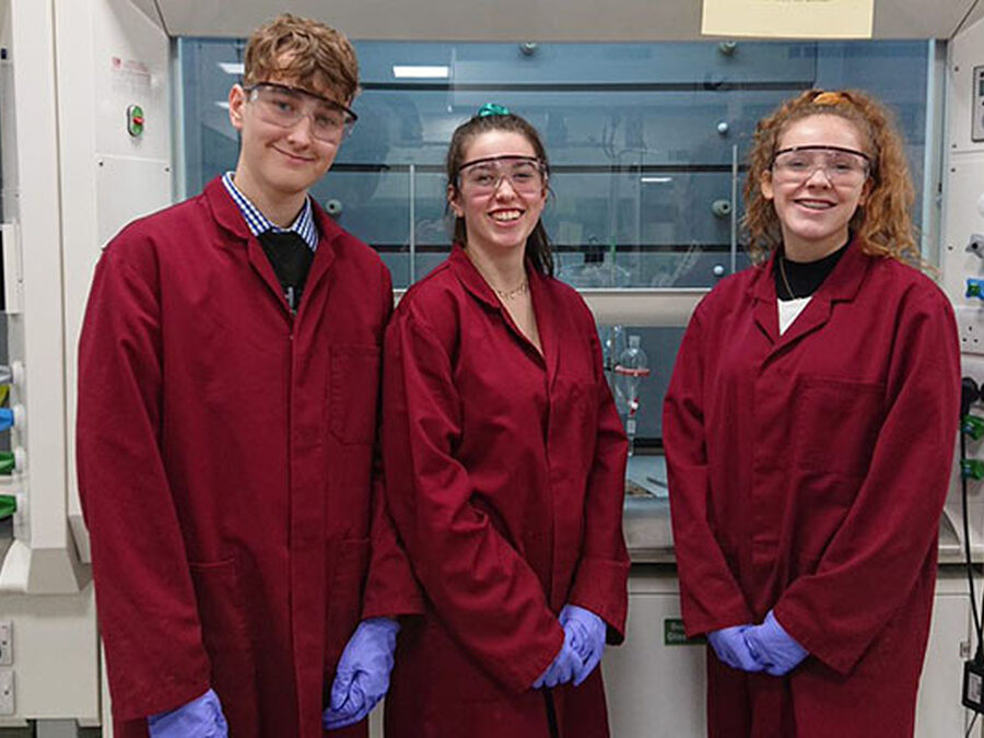 Year 12 compete at RSC Schools' Analyst Competition