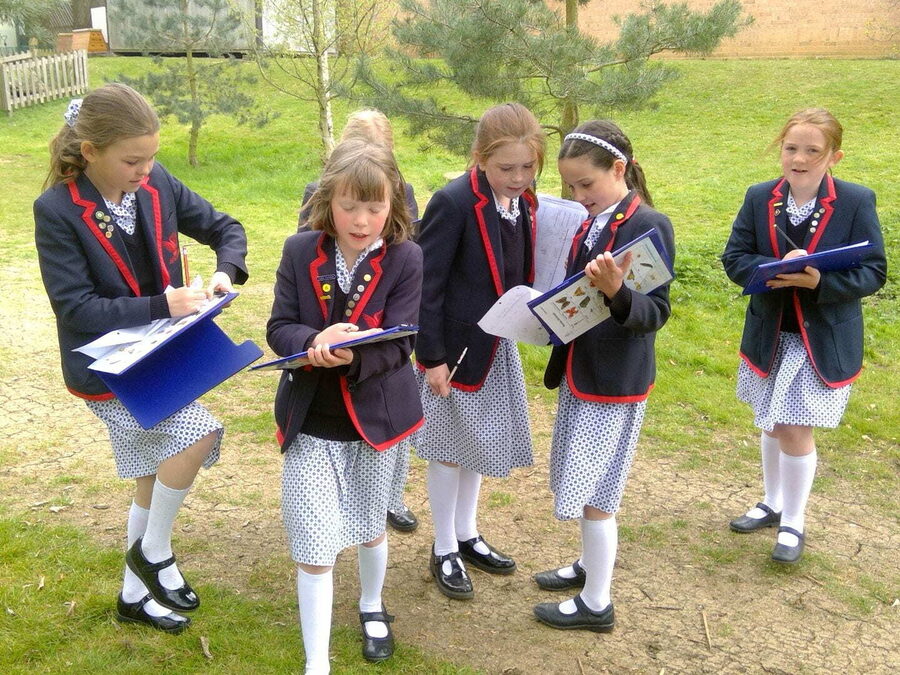 Children at SJS investigate outdoors