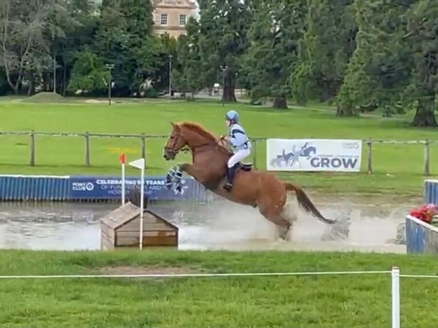 Tetrathlon International Success