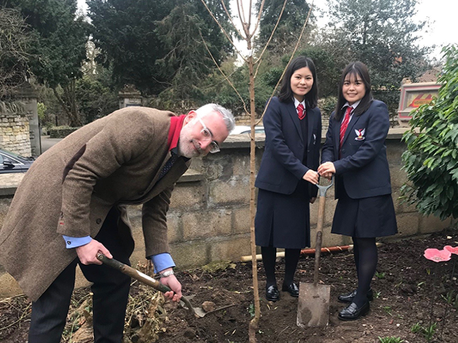 Tree Planted in Commemoration of Waseda School Friendship